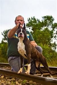 Yafá com 2 anos -- Melhor femea Boxer do Brasil em 2012